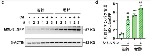 F4cd